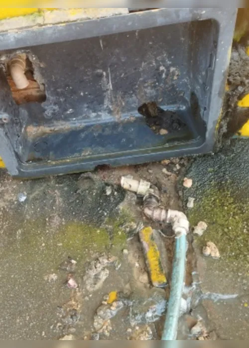 
			
				Lojistas amanhecem sem água após furto de hidrômetros no centro de Maceió; veja vídeos!
			
			