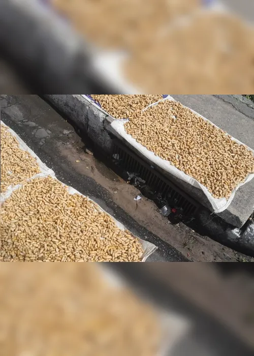 
				Vigilância apreende amendoins com suspeita de contaminação por fezes
			
			