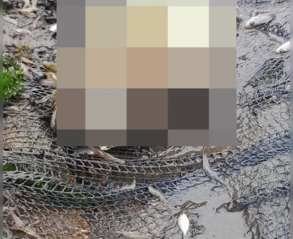 Crânio é encontrado por moradores durante pesca em Mar Vermelho