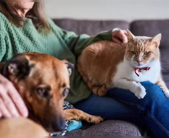Idosa exclui filhos e deixa herança de R$ 13 milhões para seus pets