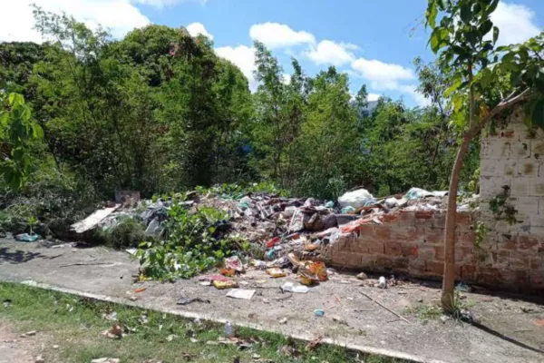 
				
					Alurb atua em mais de 150 denúncias de terrenos abandonados em Maceió
				
				