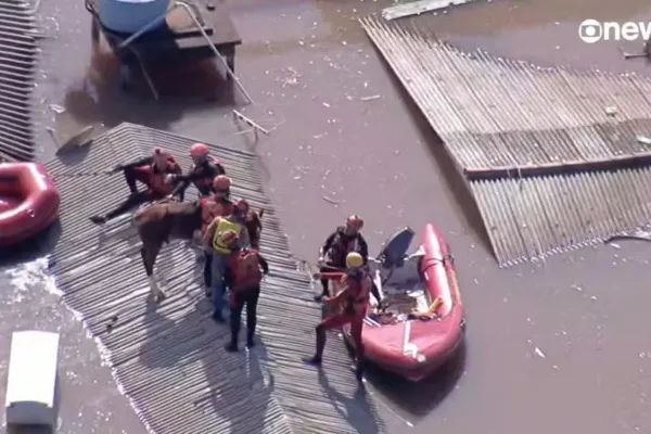 
				
					Cavalo ilhado em Canoas é resgatado pelo Exército; veja vídeo
				
				