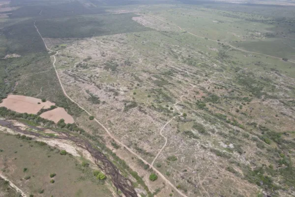 
				
					FPI embarga mais de mil hectares de terra por desmatamento ilegal
				
				