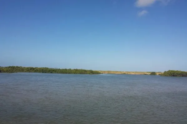 
				
					Níveis dos rios sobem em Alagoas e põem em alerta equipes de monitoramento
				
				