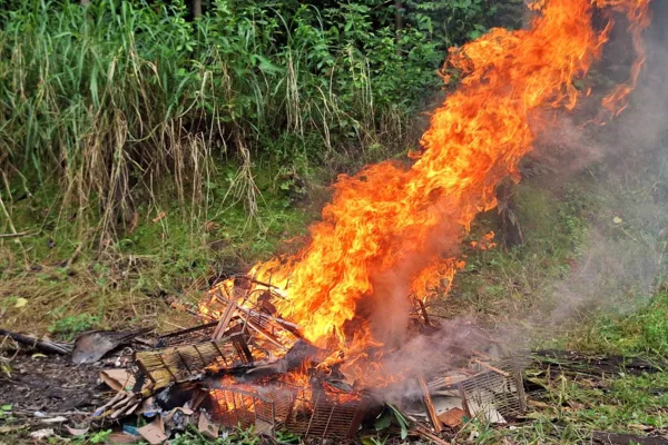 
				
					Operao Curupira apreende 461 aves e aplica R$ 110 mil em multas em Alagoas
				
				