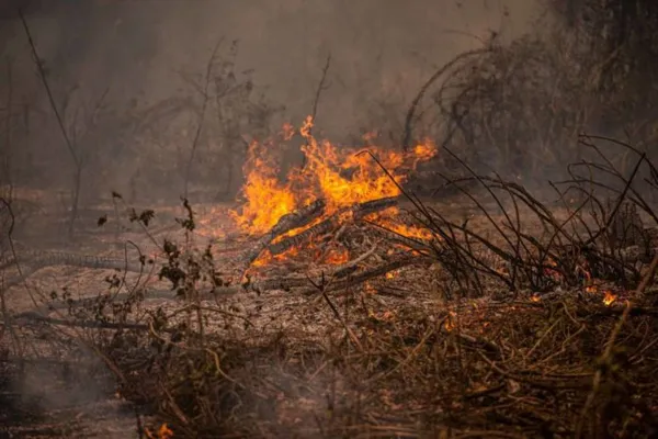
				
					Pantanal tem recorde histórico de fogo no 1º semestre
				
				