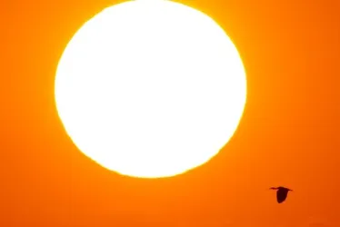 
			
				Calor matou mais de 47 mil pessoas na Europa em 2023, aponta estudo
			
			