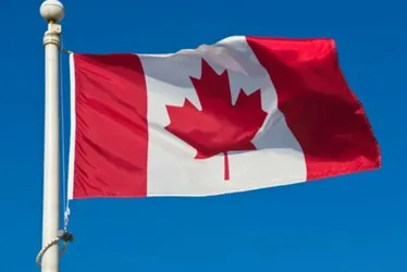 
			
				Canadá busca 15 mil estrangeiros para serem cuidadores
			
			
