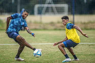 
				Elenco do CSA retorna aos treinos para sequência final da Série C
			
			