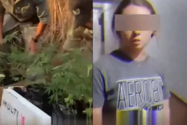 
			
				Gringos são presos por plantar maconha
			
			