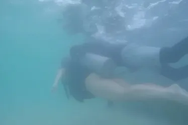 
			
				Guia é preso por se masturbar em mergulho com turista nas piscinas naturais de Maragogi
			
			