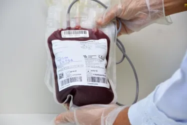
			
				Hemoal realiza coleta externa de sangue nesta quinta (17), em Coruripe
			
			