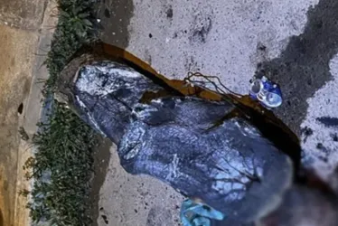 
			
				Homem é agredido até a morte com tora de madeira queimada
			
			
