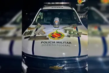 
				Homem joga bolsa com armas caseiras e munições em aterro
			
			