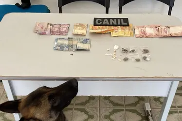 
			
				Homem tenta invadir residência e é flagrado com 11 pedrinhas de crack no Agreste
			
			