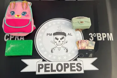
			
				Acompanhada de criança em van, mulher é presa com cocaína dentro de mochila
			
			