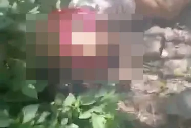 
			
				Mulher é encontrada morta a tiros em área de mata no Tabuleiro dos Martins
			
			