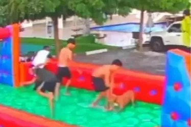 
			
				Pit-bull invade festa infantil, provoca pânico e fere 5 pessoas
			
			