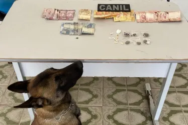 
			
				Polícia prende suspeito e apreende drogas durante ação em Arapiraca
			
			