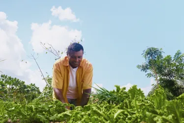 
			
				Programa Garantia-Safra está com inscrições abertas para ano agrícola 24/25
			
			