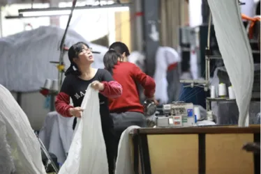 
			
				Projeto reúne 150 marcas de moda para lucrar sem produzir novas peças
			
			