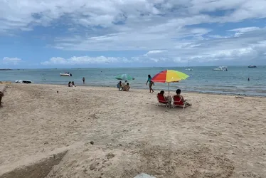 
			
				Veja quais pontos estão impróprios para banho em praias de Maceió
			
			