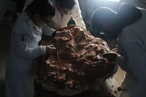
				Fóssil de dinossauro é encontrado após ação das chuvas em enchente no RS
			
			