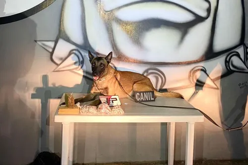 
				PM apreende maconha e cocaína dentro de casa abandonada
			
			