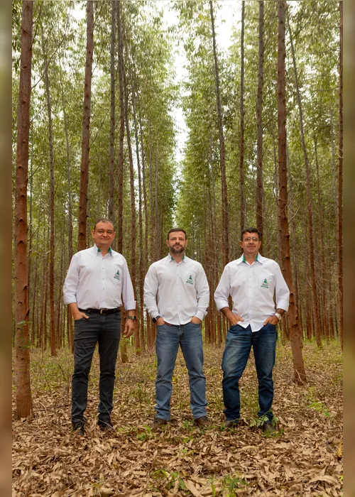
				Alagoas terá maior indústria de beneficiamento de madeira do NE e única 100% automatizada
			
			