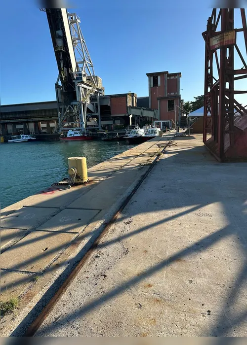 
				Filhote de baleia Jubarte é encontrado morto no Porto de Maceió
			
			