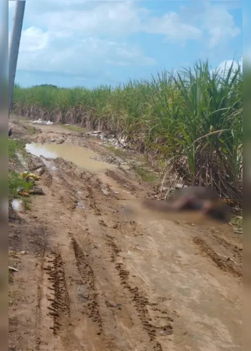 
			
				Mulher encontrada no Benedito Bentes foi morta com tiros na cabeça, peito e costas
			
			