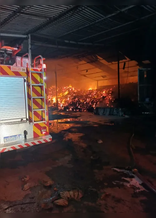 
				Vídeo: incêndio atinge galpão que armazenava fibra de coco na zona rural de Roteiro
			
			