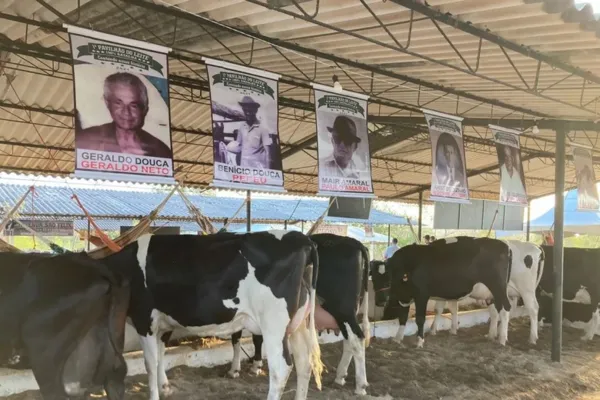 
				
					AL realiza em setembro o maior evento de raças leiteiras do Nordeste
				
				