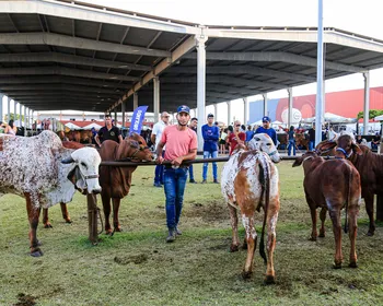 Banco do Nordeste oferece crédito rural durante a 74ª Expoagro