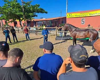 Expoagro: curso capacita criadores no manejo do Mangalarga Marchador