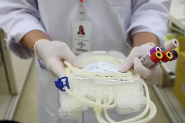 
				Alagoas registra 2,2 mil novos doadores de medula óssea no 1º semestre de 2024
			
			