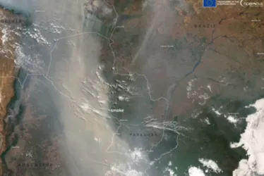 
			
				Amazônia se torna maior emissora de gases de efeito estufa do mundo
			
			