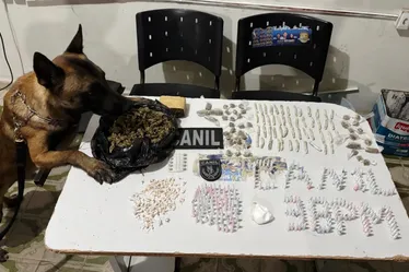 
			
				Após cão farejador localizar drogas em residência, traficantes têm prejuízo de R$ 9,5 mil
			
			