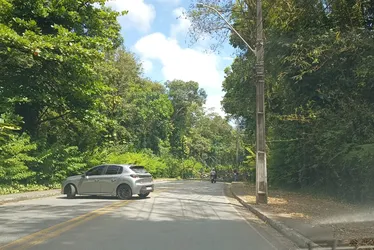 
				Árvore cai e interdita trecho da Av. Hélio de Castro Vasconcelos
			
			