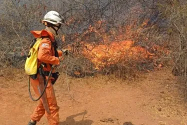 
			
				Bahia enfrenta vendavais, seca e focos de incêndio em cinco cidades
			
			
