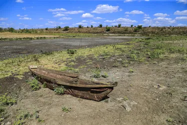 
			
				Baixa umidade do ar pode causar problemas respiratórios em Alagoas
			
			
