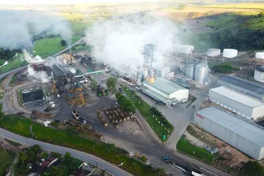 
			
				Balanço do primeiro mês da Safra 24/25 aponta para moagem lucrativa da Usina Pindorama
			
			