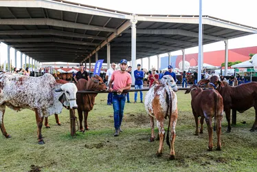 
			
				Banco do Nordeste oferece crédito rural durante a 74ª Expoagro
			
			