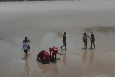 
			
				Banhista morre vítima de afogamento na Praia do Francês; veja vídeo do resgate!
			
			