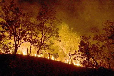 
			
				Bombeiros combatem mais de 330 incêndios no estado do Rio
			
			