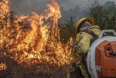 
			
				Brasil perdeu ‘uma Paraíba’ em queimadas só em agosto
			
			