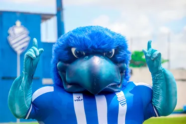 
			
				CSA celebra 111 anos com festa no CT Gustavo Paiva, neste sábado (7)
			
			