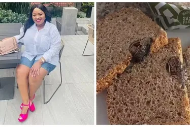 
			
				Cliente encontra rato morto em pão após comer metade do alimento
			
			