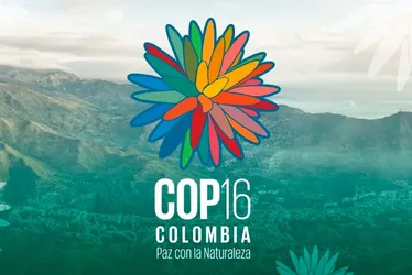 
			
				Começa nesta segunda a 16ª COP da Biodiversidade na Colômbia
			
			