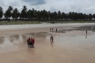 
			
				Corpo de homem é encontrado entre as Praias do Francês e Barra de São Miguel
			
			